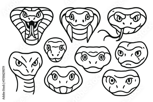 Hybrid Snake Icons. Line style icons of hybrid snake face styles: cobra with python eyes, viper with boa snout, anaconda with