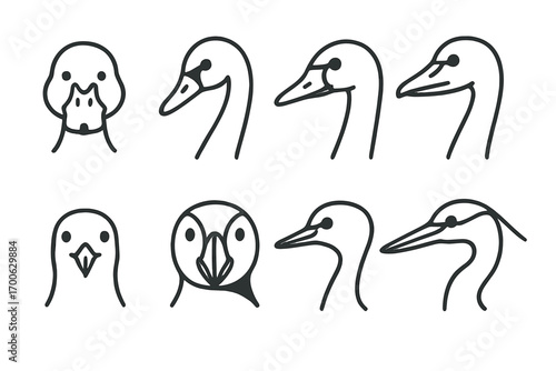 Waterfowl Bird Icons. Line style icons of waterfowl bird faces: duck face, swan head, goose with bill, pelican side view; seagull
