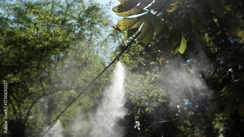 Slow motion of a summer cooling mist in a park cafe. summer cooling water spay for pedestrian refreshment during heat. Outdoor misting system.