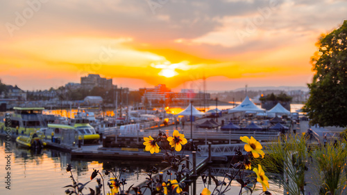 Fotografi Victoria inner harbour causeway glows warmly at sunset with shimmering water reflecting the colourful sky, boats gently bobbing, and the city's historic skyline creating a serene, picturesque scene