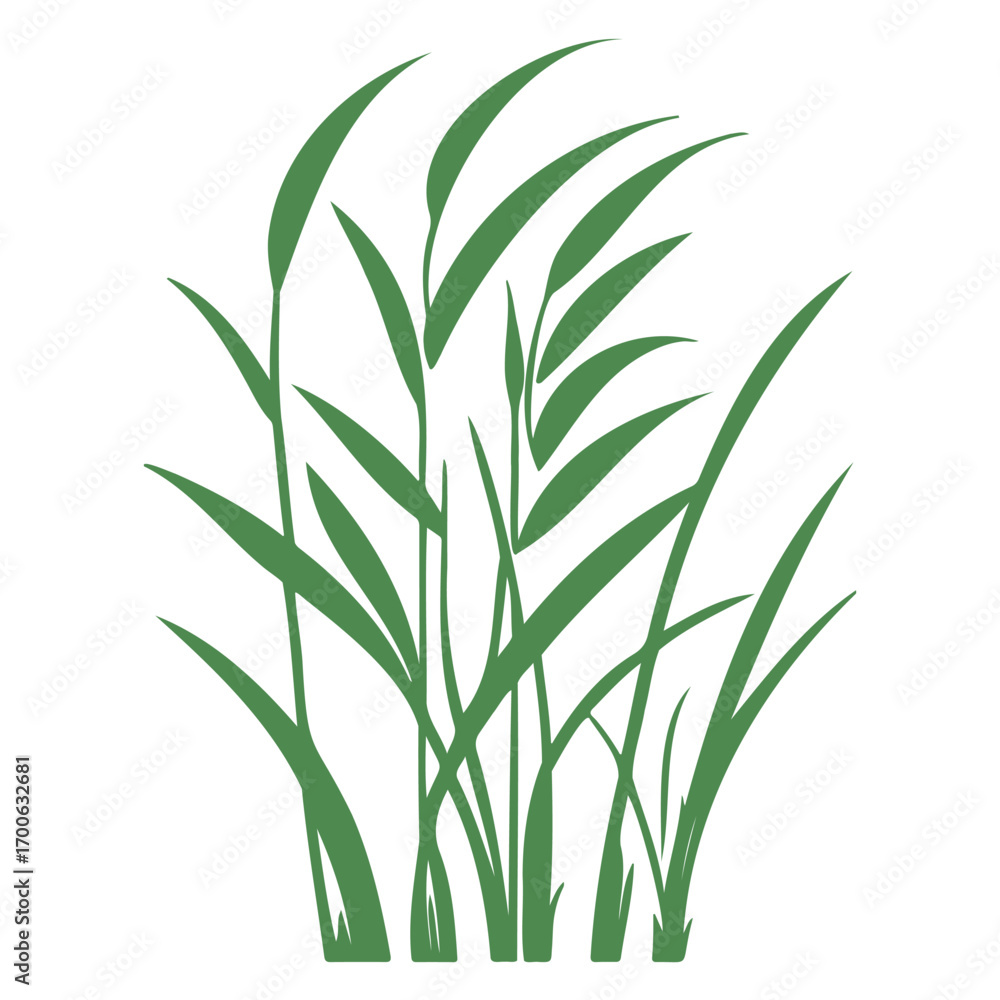 Obraz premium grass garden illustration green