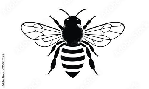Macro vector illustration of an isolated black and yellow wasp with detailed wings and eyes