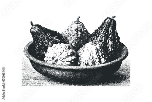 Still life of assorted gourds in a textured bowl. Vector hand drawn illustration