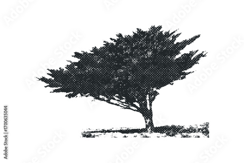 Textured Evergreen Tree Silhouette on Transparent. Vector hand drawn illustration