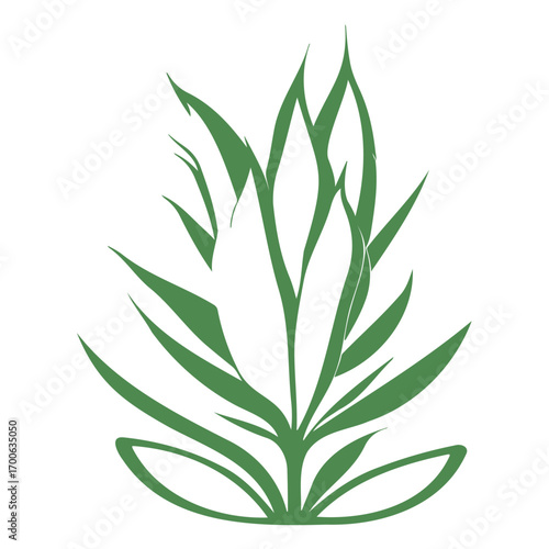aloe flower illustration green