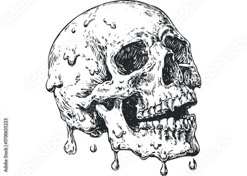 Ink drawn melting skull. Vector hand drawn illustration