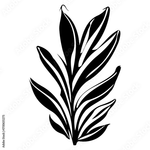 aloe flower illustration sketch