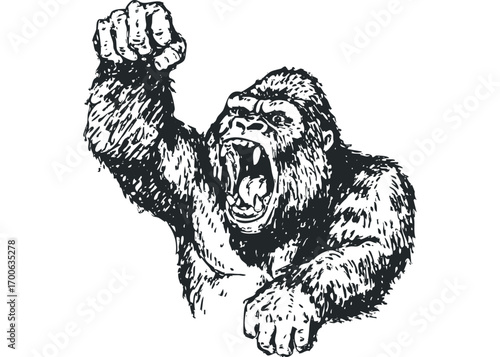 Aggressive gorilla with fist raised and mouth open, on transparent background. Vector hand drawn illustration