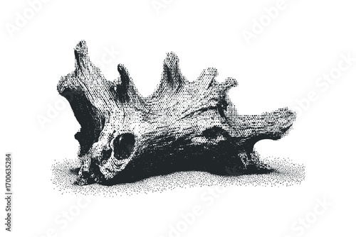 Gnarly driftwood branch on transparent. Vector hand drawn illustration