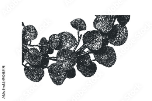 Stippled foliage branch on transparent background image. Vector hand drawn illustration