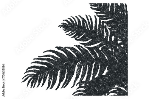 Textured fern fronds graphic on transparent background. Vector hand drawn illustration