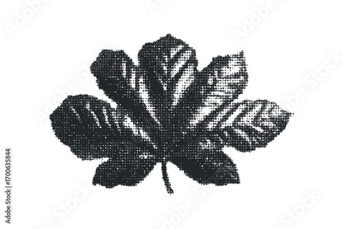 Monochromatic fig leaf shape composed of dense dot texture on white. Vector hand drawn illustration