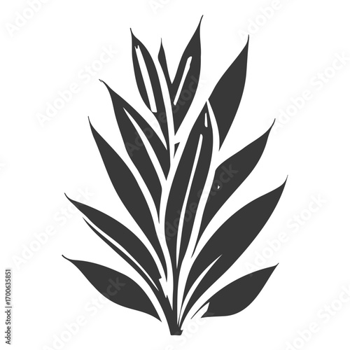 aloe flower illustration grey
