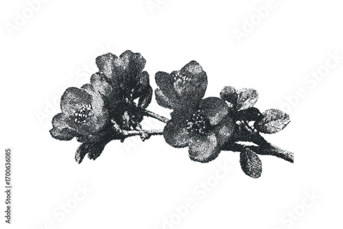 Stippled Branch with Blossoms and Leaves. Vector hand drawn illustration
