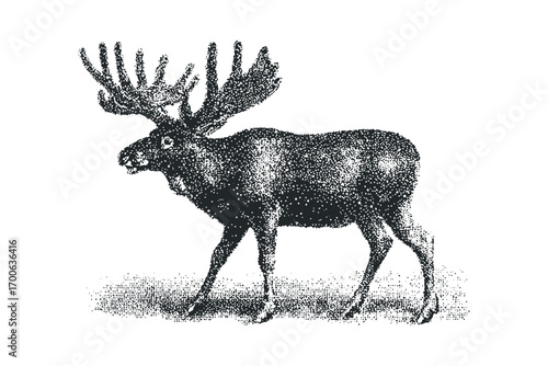 Monochromatic Stippled Moose with Large Antlers. Vector hand drawn illustration