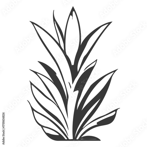 aloe flower illustration grey