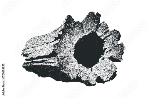 Textured organic wood fragment with central dark void on transparent background. Vector hand drawn illustration