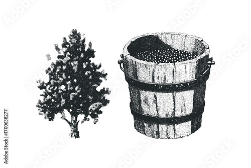 Wooden bucket filled with small berries next to a stylized tree,. Vector hand drawn illustration