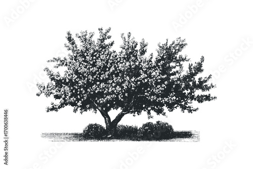 Stippled Flowering Tree. Vector hand drawn illustration