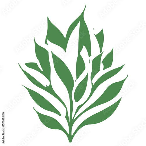 aloe flower illustration green