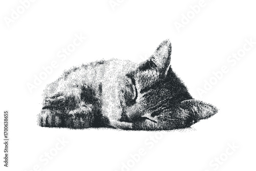 Furry cat resting on a white surface image. Vector hand drawn illustration