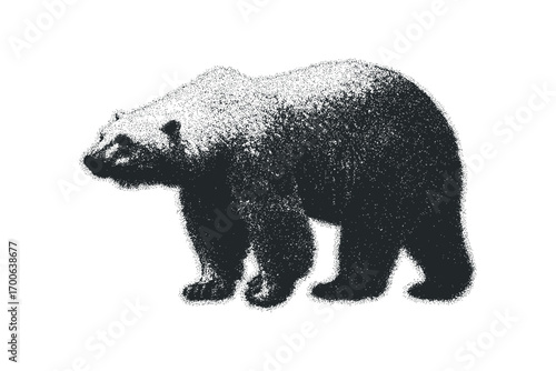 Stippled Grizzly Bear Standing Profile on White. Vector hand drawn illustration