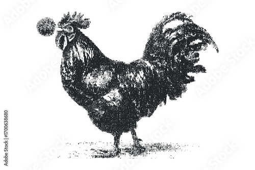Rooster holding a textured sphere in its beak on a transparent background. Vector hand drawn illustration
