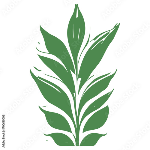 aloe flower illustration green