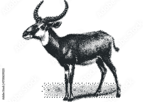 Antelope standing on textured ground, stipple drawing. Vector hand drawn illustration
