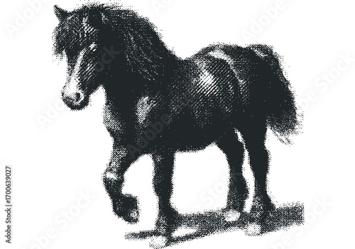 Black Horse Standing Silhouette with Textured Detail. Vector hand drawn illustration