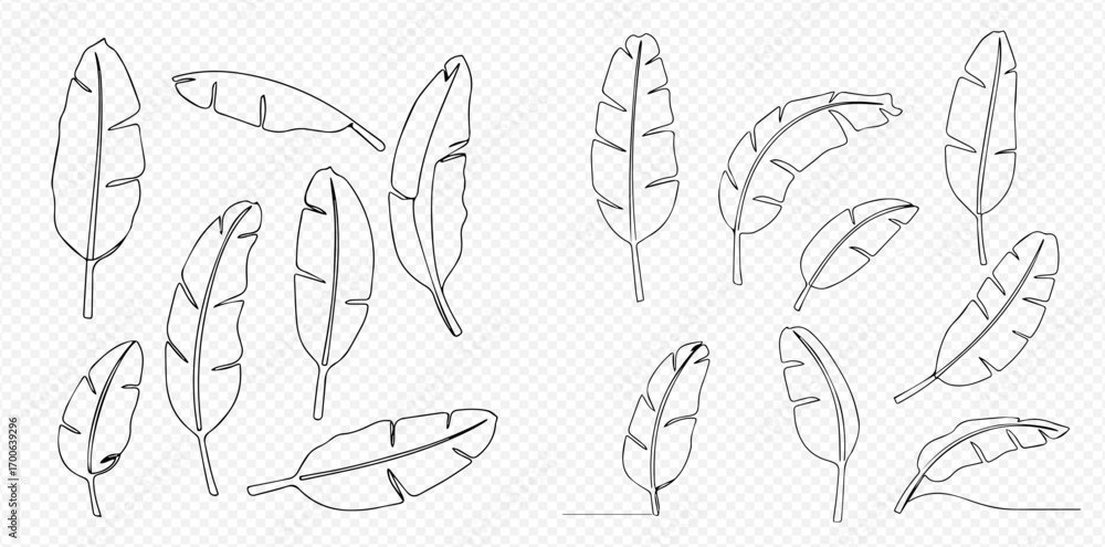 Fototapeta premium A collection of minimalist banana leaf illustrations drawn in a continuous line art style on a transparent background.