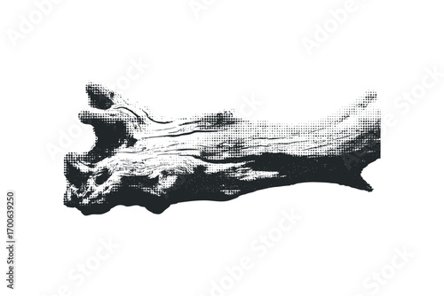 Textured weathered driftwood log with tonal dot halftones. Vector hand drawn illustration