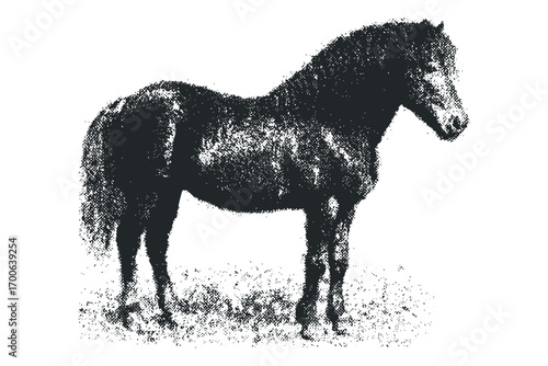 Pony silhouette textured isolated on white. Vector hand drawn illustration