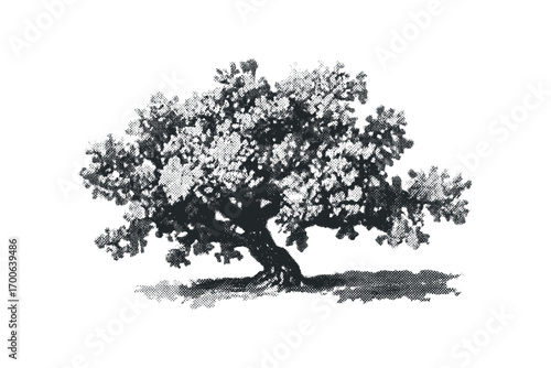 Isolated Halftone Oak Tree Image. Vector hand drawn illustration