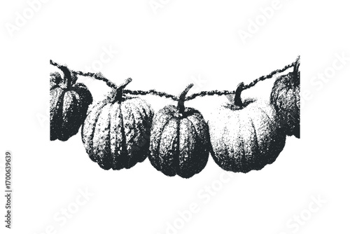 Five pumpkins strung together on a rough twine garland. Vector hand drawn illustration