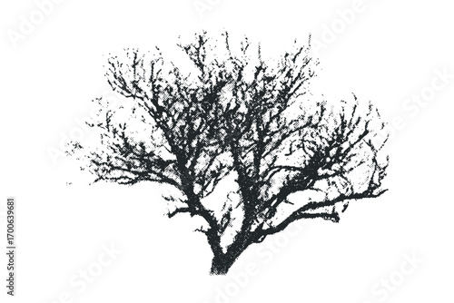 Silhouette of a bare tree with detailed branches on transparent background. Vector hand drawn illustration