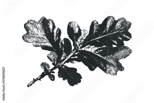 Halftone oak leaves branch transparency. Vector hand drawn illustration