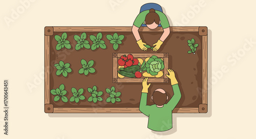 Gardening duo harvesting vegetables