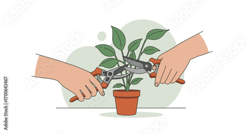 Pruning a Plant