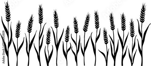 Wheat Field Silhouette Illustration