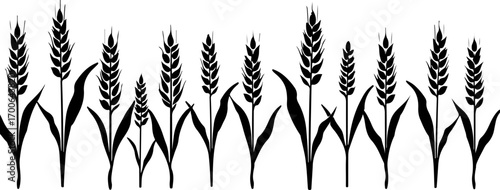 Wheat Field Silhouette Illustration