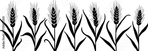 Wheat Field Silhouette Illustration