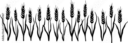 Wheat Field Silhouette Illustration