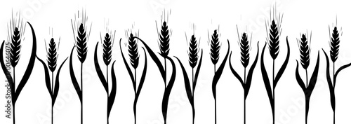 Wheat Field Silhouette Illustration