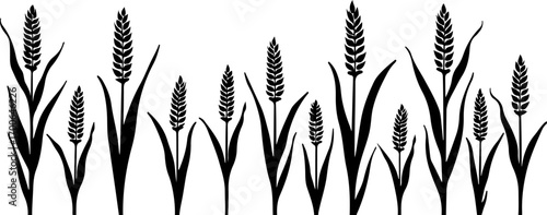 Wheat Field Silhouette Illustration