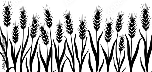 Wheat Field Silhouette Illustration