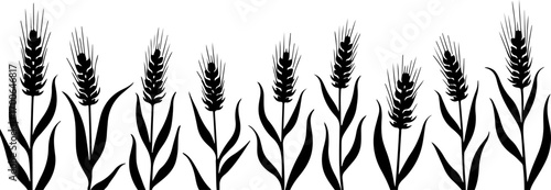 Wheat Field Silhouette Illustration