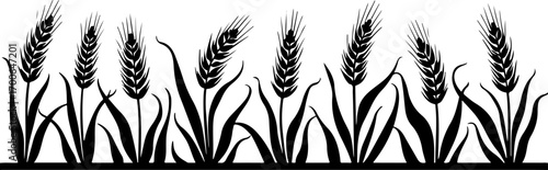 "Silhouette of Wheat Ears in a Row"