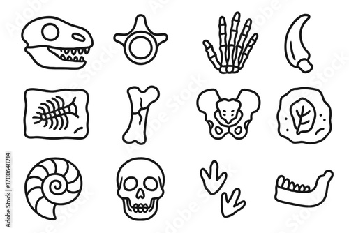 Fossil Icons Collection. Line style icons of bone fossils: fossil skull, fossil vertebra, fossil hand bones, fossil claw; embedded