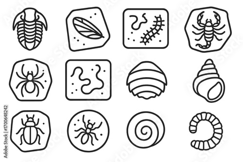 Invertebrate Fossil Icons. Line style icons of invertebrate fossils: trilobite shell, insect wing fossil, centipede track, fossil